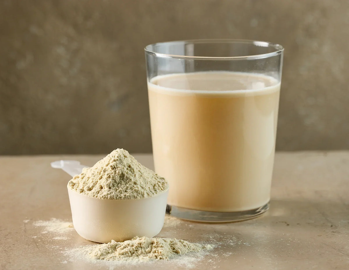 Classic Two Kind Protein Shake