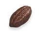Cocoa